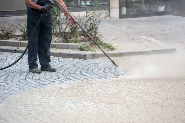 Best Animal Enclosure Cleaning  in Washington Mills, NY